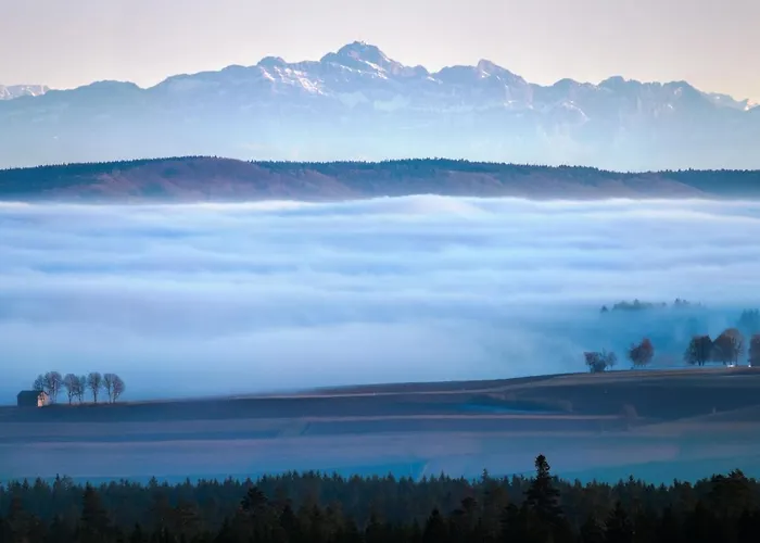 Fuerderer By Interhome * Eisenbach (Breisgau-Hochschwarzwald)